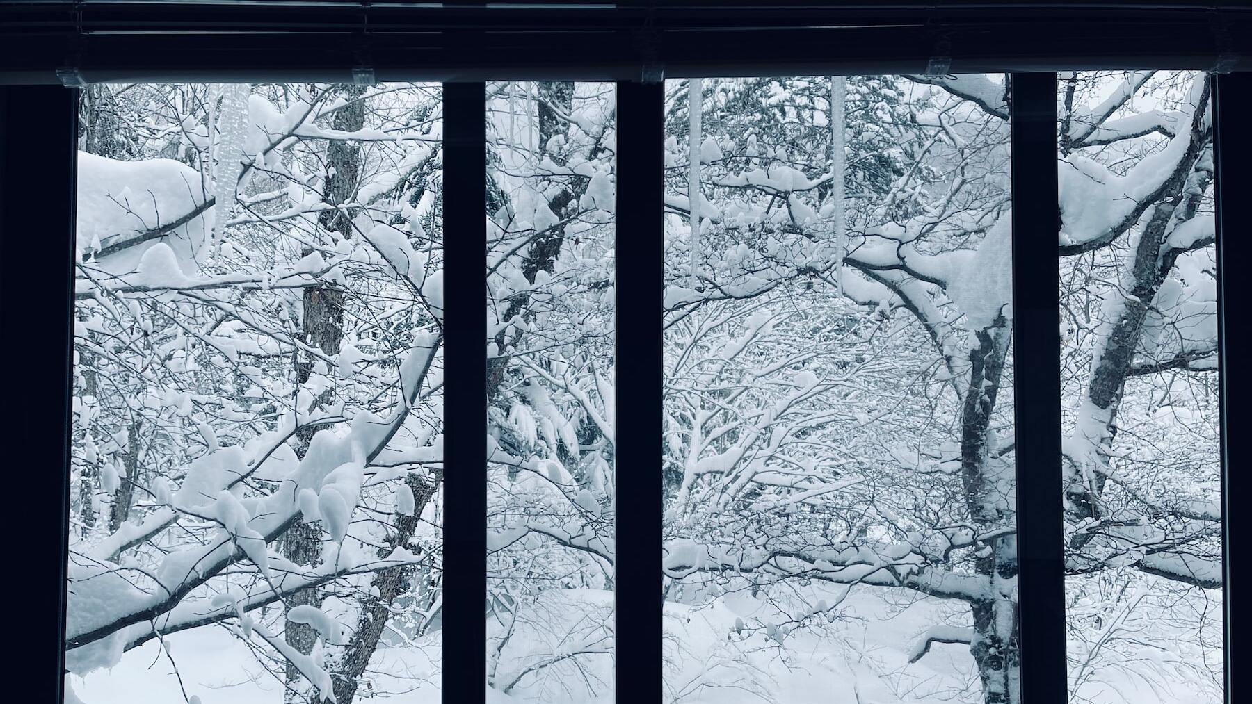 El truco de las cortinas para que el calor de la calefacción se mantenga durante todo el día