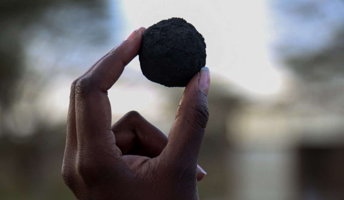 Excrementos humanos, la mejor forma de calentar tu hogar