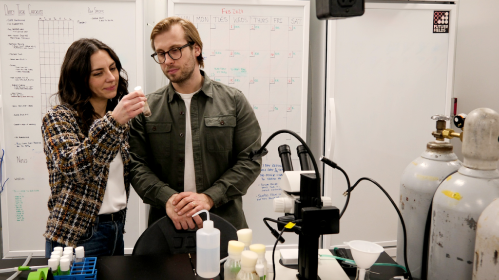 Future Fields está convirtiendo moscas de la fruta en biorreactores