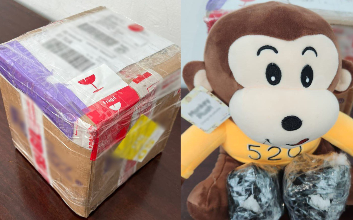 Guardia Nacional asegura ‘narcopeluche’ relleno de cristal