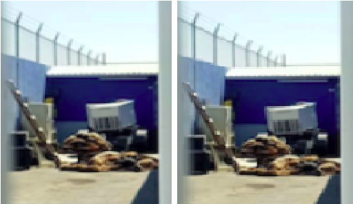 Hallan perros sacrificados y envenenados en Centro de Atención Animal de El Marqués, difunden imágenes