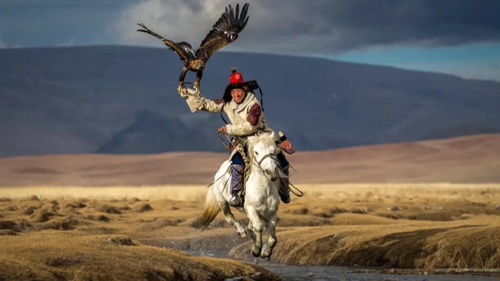 Imágenes del Año de National Geographic