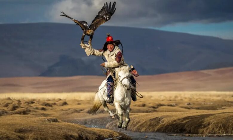 Imágenes del Año de National Geographic