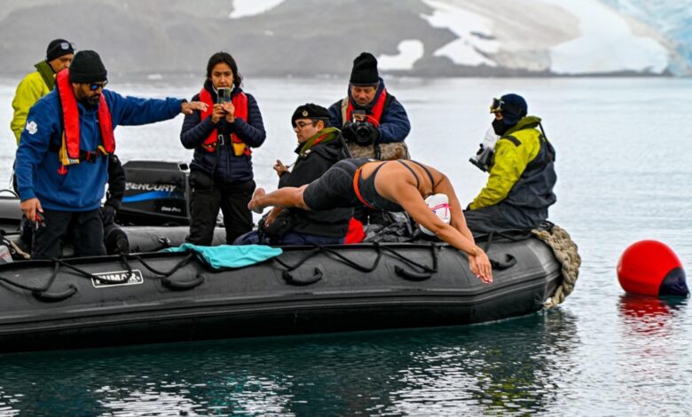 Insólito: “La Sirena de Hielo” nada 1.5 millas en las aguas heladas del Antártico