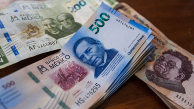 Inversión fija bruta creció 6.6% interanual en noviembre
