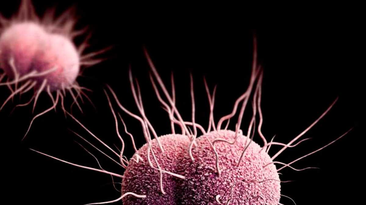 La OMS advierte del contagio de gonorrea por el sexo oral