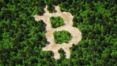 Las recompensas de Bitcoin y las NFT pueden ayudar a hacer crecer la cadena de bloques