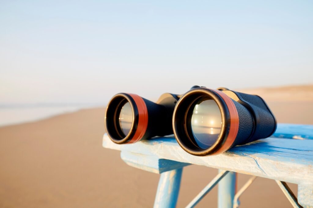 Líderes de SaaS: utilicen los conocimientos de los clientes para acelerar el crecimiento durante una recesión