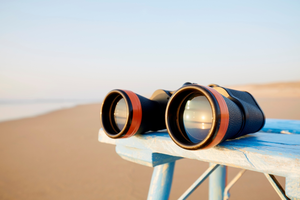 Líderes de SaaS: utilicen los conocimientos de los clientes para acelerar el crecimiento durante una recesión