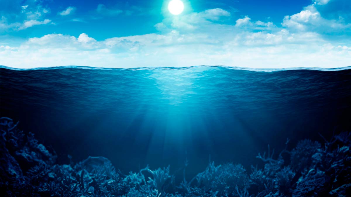 Los 5 monstruos marinos reales más increíbles