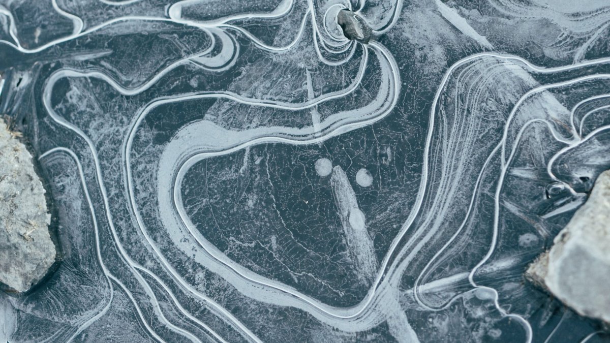 Los despidos tecnológicos están creando una nueva era de fundadores rudimentarios (y humildes)