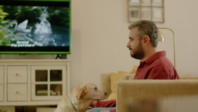 Los dispositivos Amazon Fire TV ahora pueden transmitir audio directamente a los implantes auditivos Cochlear
