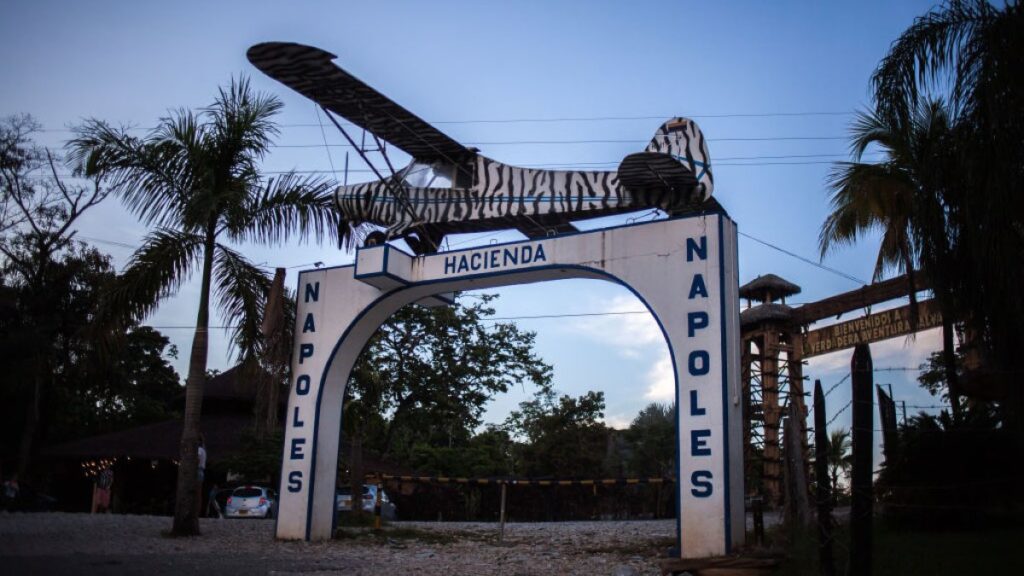 Matan a un tigre en la antigua hacienda de Pablo Escobar