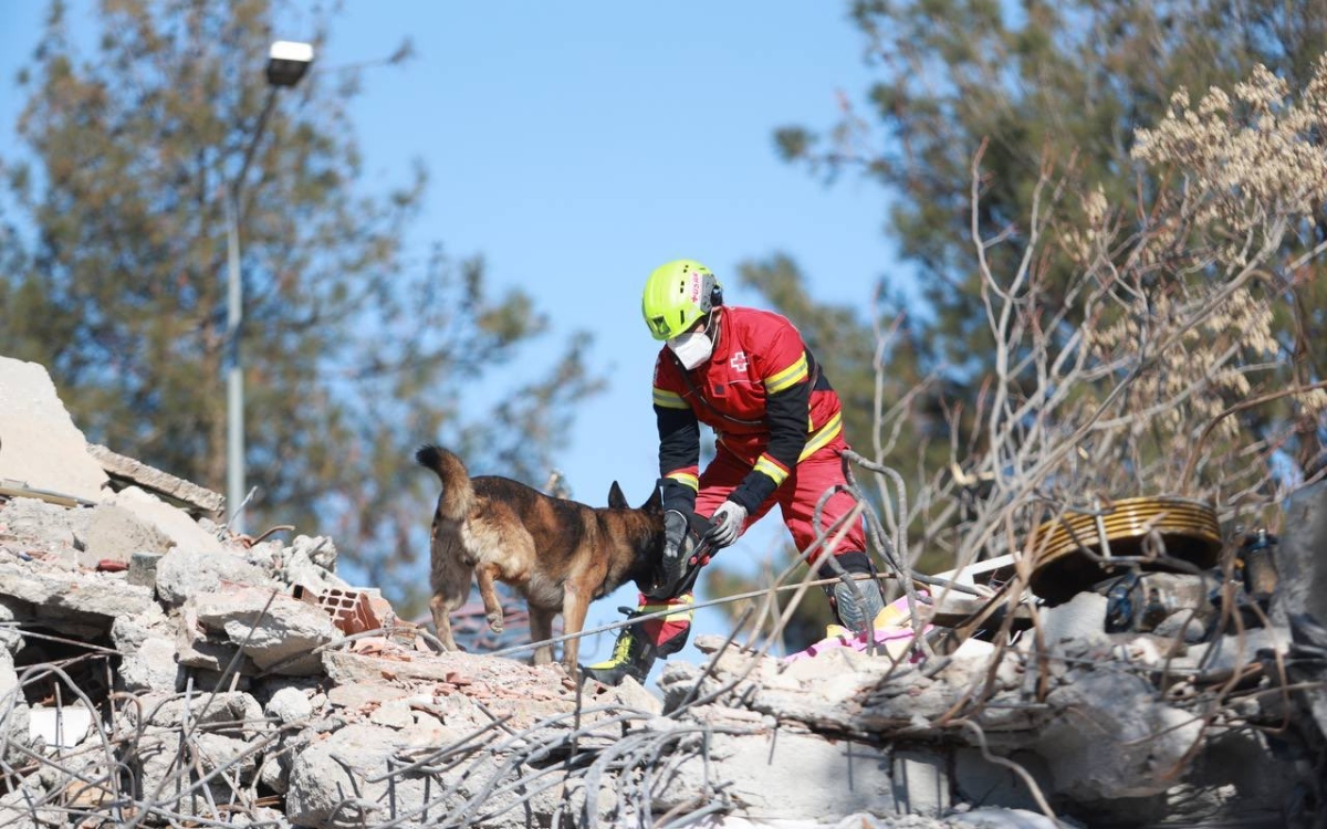 No se han encontrado mexicanos heridos o fallecidos en Turquía: SRE