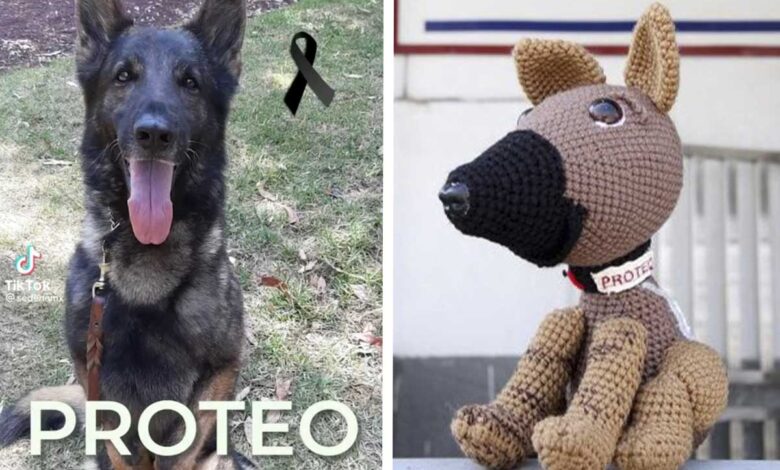Presas rinden homenaje a 'Proteo' con figuras de estambre