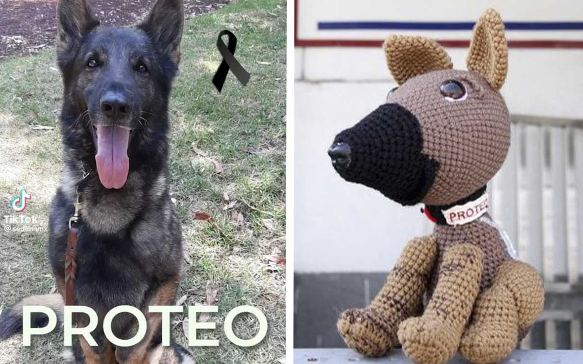 Presas rinden homenaje a ‘Proteo’ con figuras de estambre