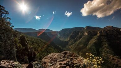 Publica AMLO acuerdo para declarar nuevas reservas naturales