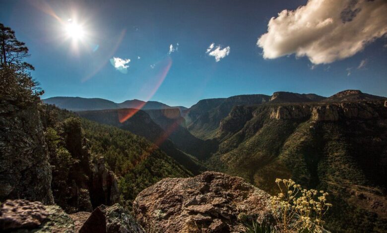 Publica AMLO acuerdo para declarar nuevas reservas naturales