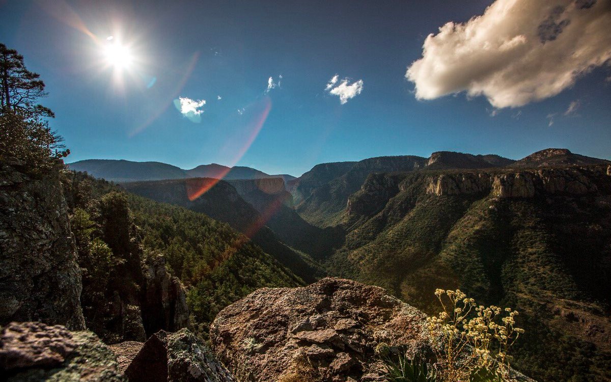 Publica AMLO acuerdo para declarar nuevas reservas naturales