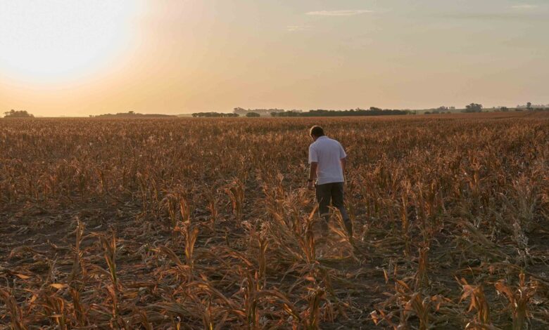 Sequía en Sudamérica no se debe al cambio climático, según un estudio