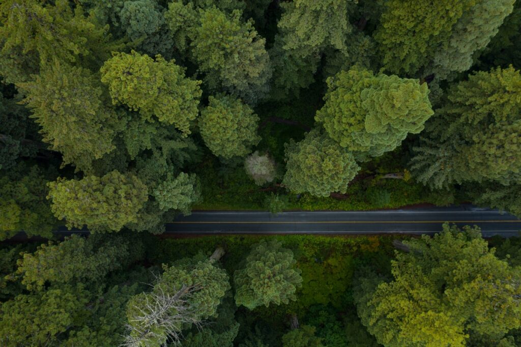 Sequoia calienta las inversiones iniciales en etapa inicial en India y el sudeste asiático