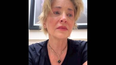 Sharon Stone, abatida: ahora pierde a su hermano, el padre de su sobrino de 11 meses fallecido