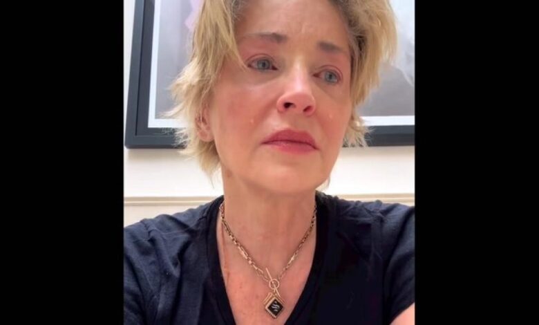 Sharon Stone, abatida: ahora pierde a su hermano, el padre de su sobrino de 11 meses fallecido