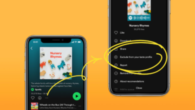Spotify ahora te permite seleccionar qué listas de reproducción te gustaría que impacten menos en tus recomendaciones