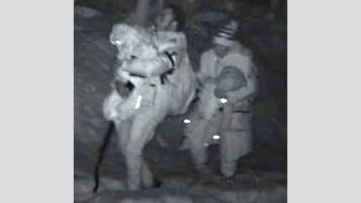 Sube la cifra de migrantes que cruzan la frontera de Canadá a EEUU en temperaturas gélidas