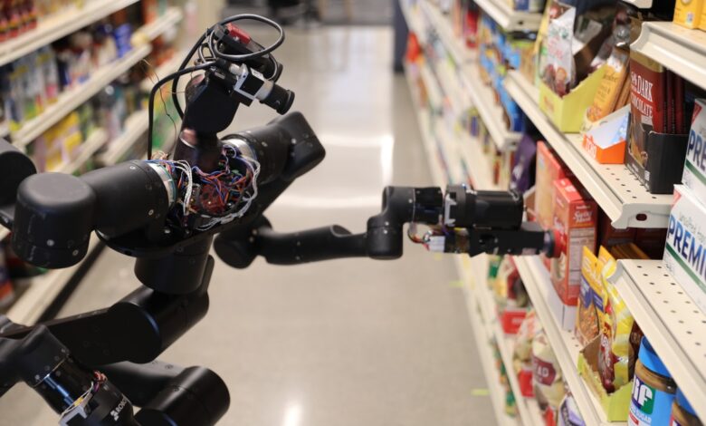 Toyota Research Institute SVP sobre la dificultad de construir el robot doméstico perfecto