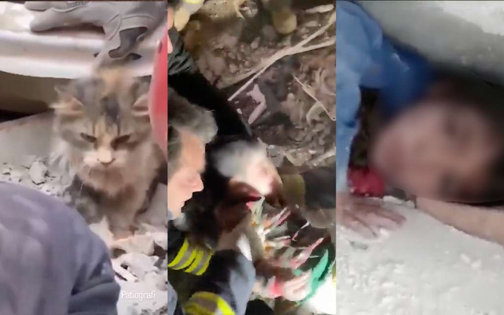 Tras terremotos, siguen rescates en Turquía y Siria | Videos