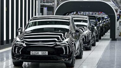 Veracruz también quiere acoger la nueva planta de Tesla