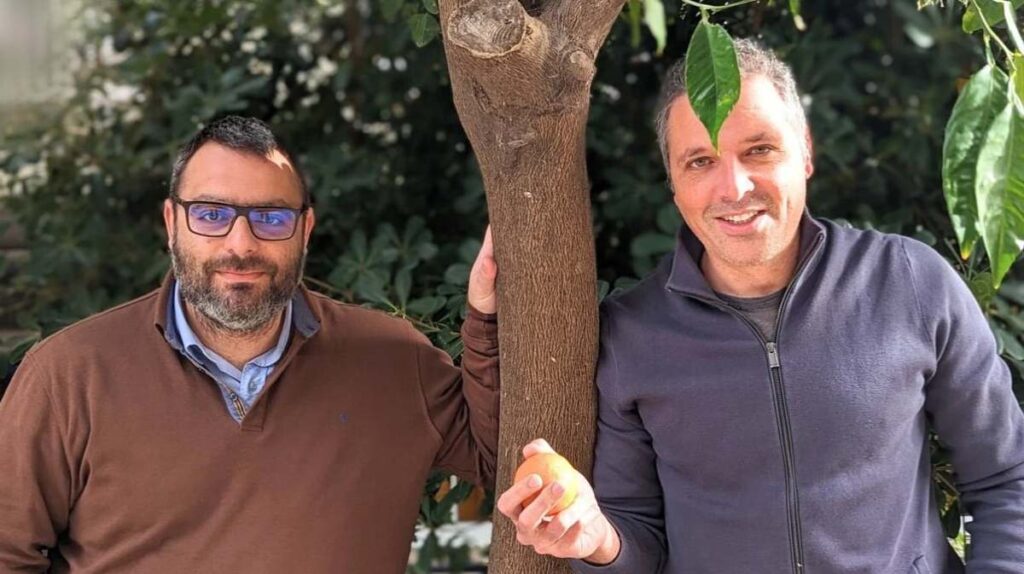 Wikifarmer utiliza su base de conocimientos agrícolas para atraer a la gente a su mercado