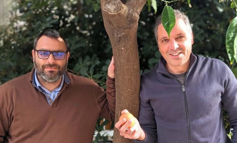 Wikifarmer utiliza su base de conocimientos agrícolas para atraer a la gente a su mercado