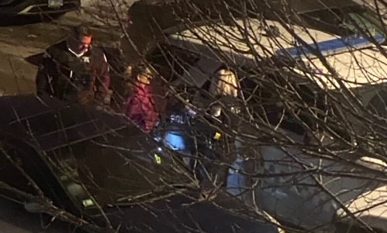 hallan cuerpo de anciana en congelador en Portage Park