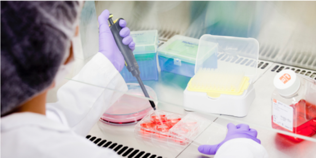 mesoestetic celebra el Día Internacional de la Mujer y la Niña en la Ciencia