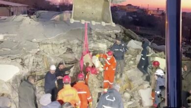 ¡Bravo! Rescatan a vaca atrapada durante 11 días tras sismo en Turquía | Video