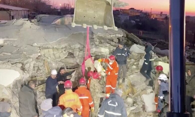 ¡Bravo! Rescatan a vaca atrapada durante 11 días tras sismo en Turquía | Video