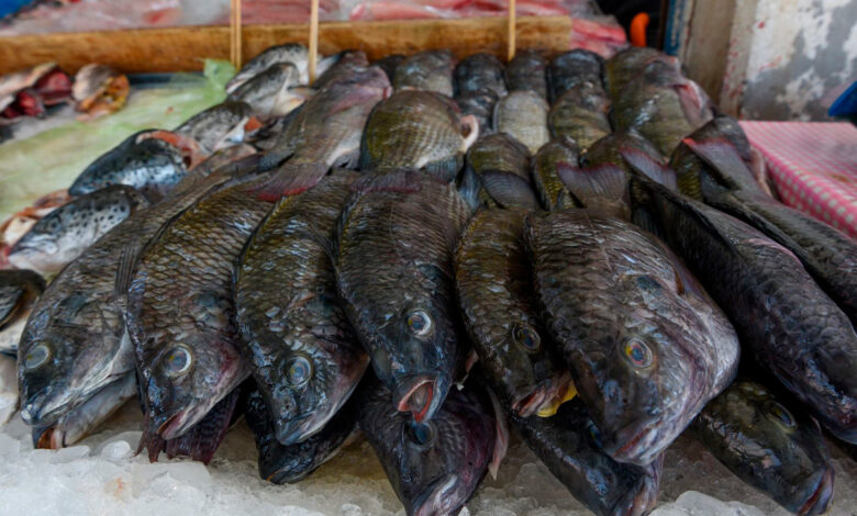 ¿Sabes si el pescado que compras en cuaresma vale lo que pagas?