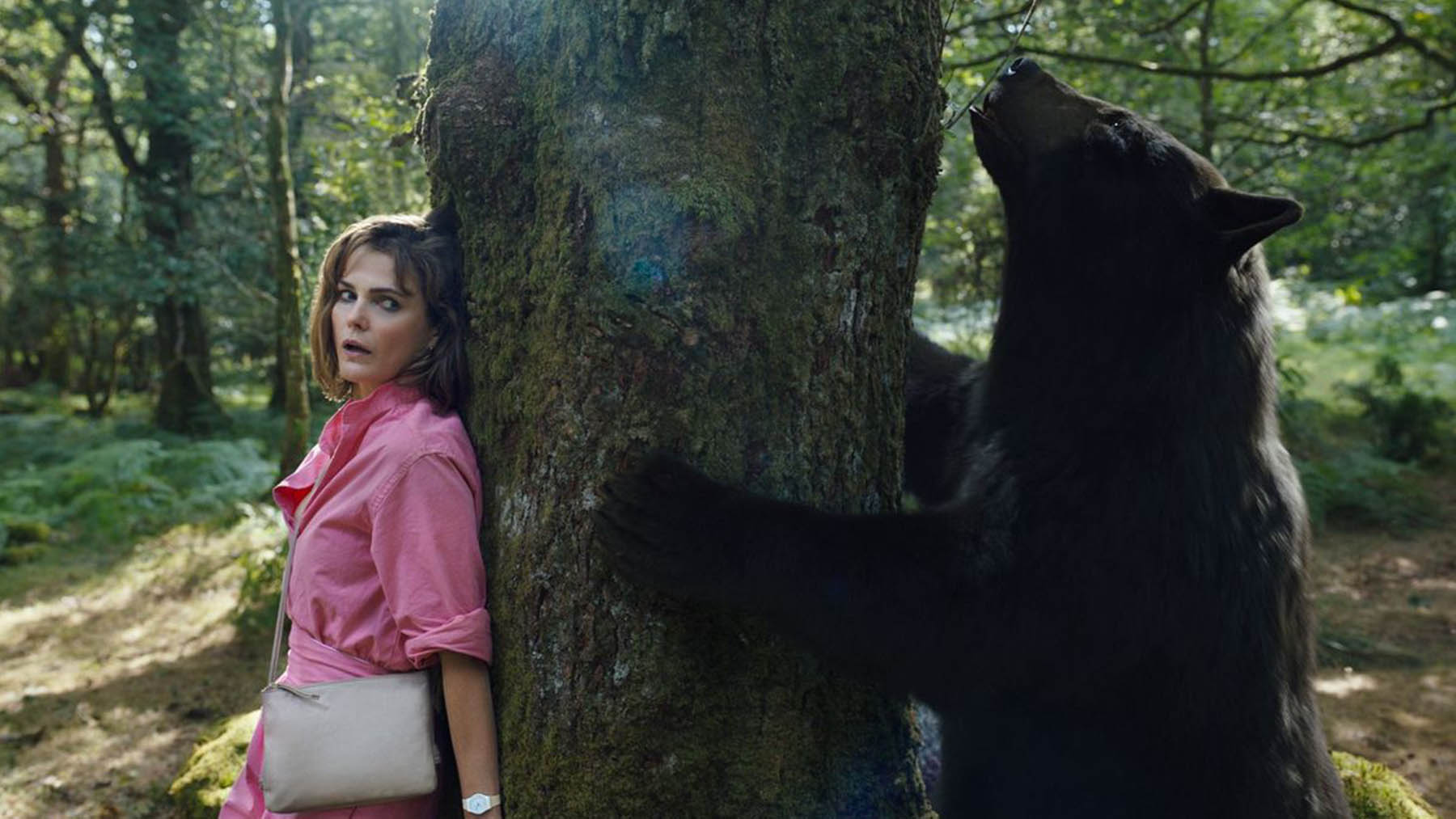 ‘Cocaine Bear’ supera sus expectativas en la taquilla: casi 30 millones de dólares en su estreno