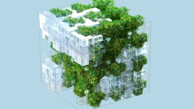 5 estrategias para que las nuevas empresas de biotecnología sobrevivan a una recesión del mercado
