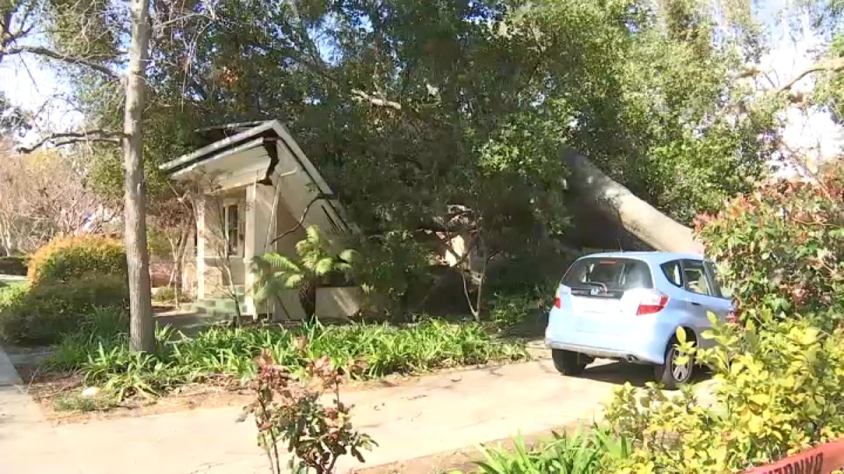 Árbol parte a la mitad una vivienda en el condado San Mateo