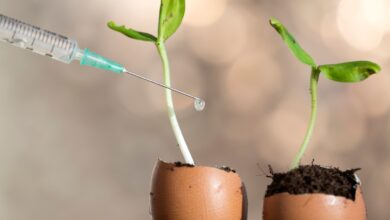Construyendo una pila de crecimiento lean de startups B2B