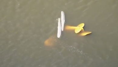Cuatro muertos por choque de avionetas en Florida | Video