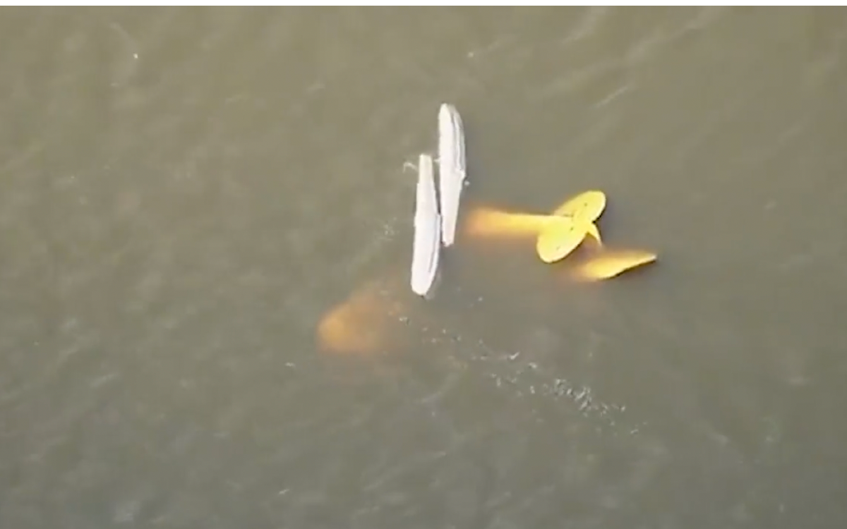 Cuatro muertos por choque de avionetas en Florida | Video