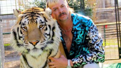 Desde prisión: el “Tiger King” anunciaría su candidatura a las elecciones presidenciales de EEUU