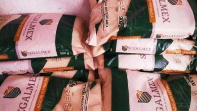 Detienen en Coahuila a exfuncionario relacionado con desfalco a Segalmex