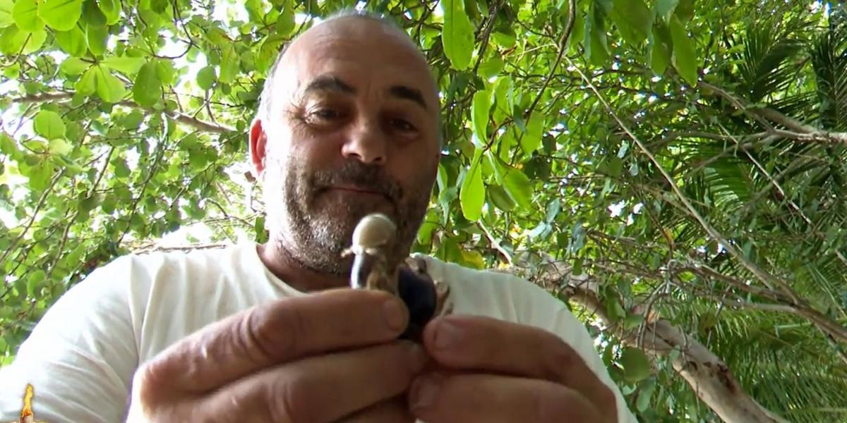El 'menú' de insectos de Ginés Corregüela en 'Supervivientes 2023': "¡Qué asco!"