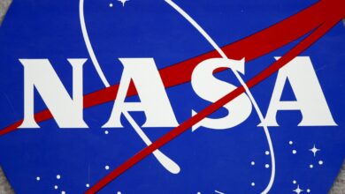 El 3 de abril darán a conocer a los cuatro miembros de la tripulación de la misión Artemis II