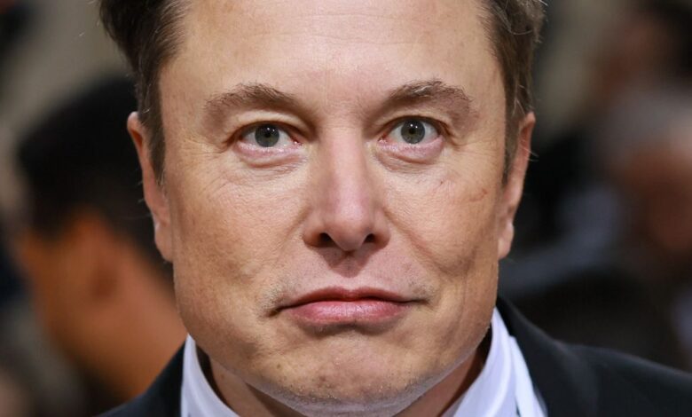Elon Musk está construyendo una IA Anti-Woke, lo que sea que eso signifique